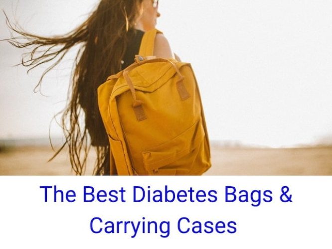 The Best diabetes bags and carrying cases-min